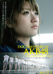 Documentary_of_AKB48_No_Flower_without_Rain.jpg
