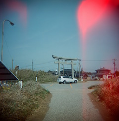 FujiPro400H04122011HOLGA01.jpg