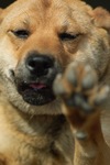 Mery05182008-02.jpg