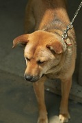 Mery05182008-05.jpg