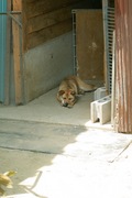 Mery05182008-06.jpg