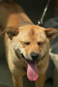 Mery05182008-09.jpg