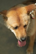 Mery05182008-10.jpg