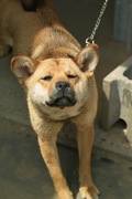 Mery05182008-11.jpg