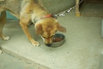 Mery07062008-02.jpg