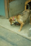 Mery07062008-03.jpg