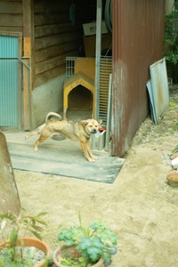 Mery07062008-04.jpg