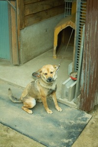 Mery07062008-05.jpg