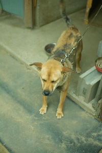 Mery07062008-06.jpg