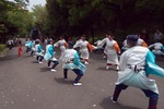 Mugen_Yume-yosa05042011gh2.jpg