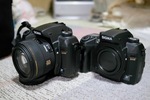 SD14and1506252011dp2.jpg