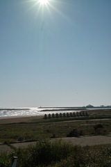 Sea05062012dp2.jpg