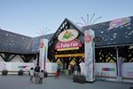 Tulip_Fair05052011dp1-01.jpg