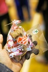 Valentine02142012sd15.jpg