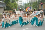 Yosakoi2007-2.jpg