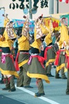 Yosakoi2007-3.jpg