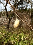 bag04132012iP4s.jpg