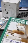 iPhone5_mug_and_Notebook02102013dp2m.jpg