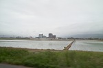 landscape05032012dp1.jpg