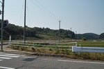 landscape05272012dp2.jpg