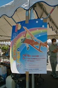 paper-plane06152008-01.jpg
