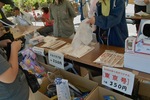 paper-plane06152008-02.jpg
