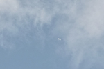 plane02232013dp3m_trim.jpg